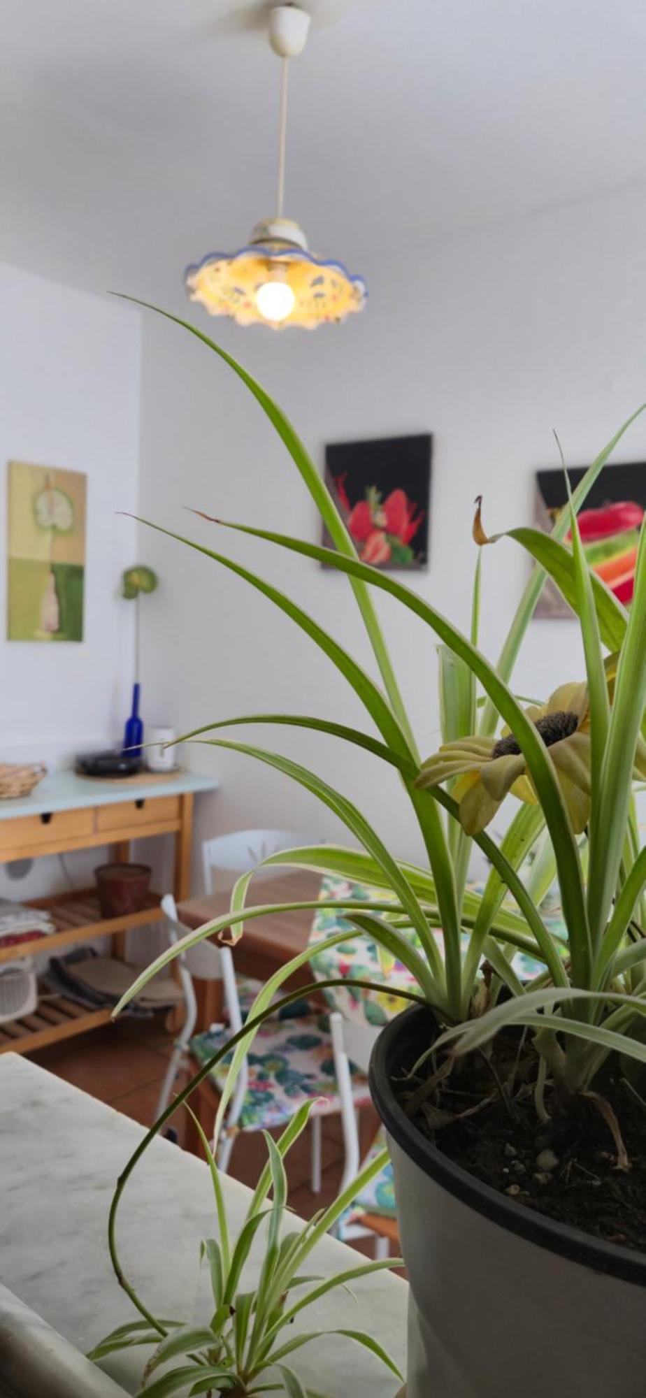 Apartment Trezza Aci Trezza Rom bilde